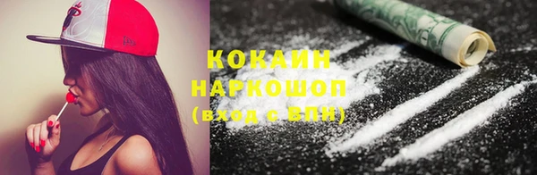 скорость Болотное