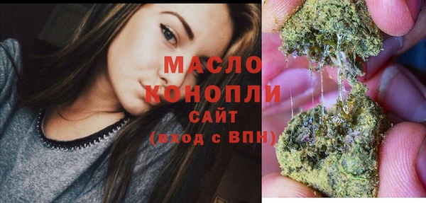 скорость Болотное
