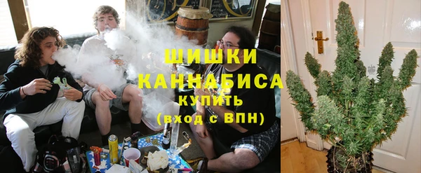 шишки Бронницы