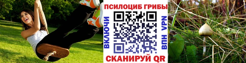 сколько стоит Тетюши Галлюциногенные грибы прущие грибы